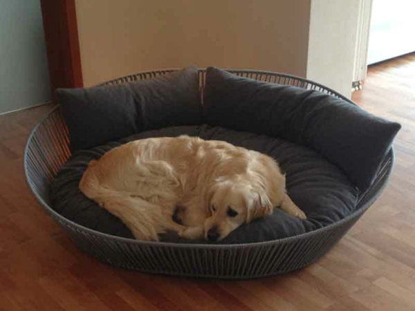 ortopedická ortopedická posteľ s vankúšom - béžový pes