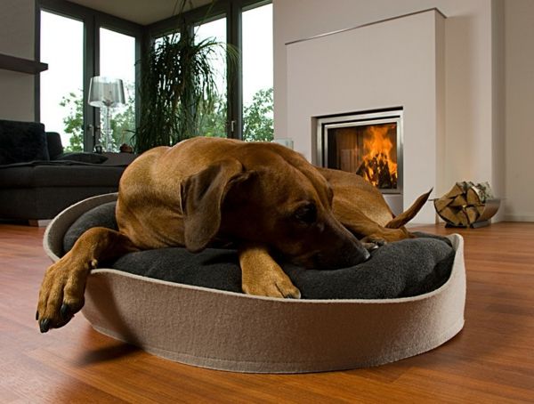hund säng ortopedisk-bredvid-eldstaden - hund som ser söt ut