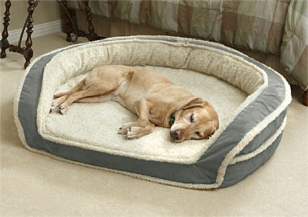 hundeseng xxl-komfort-for-hunden - stor hund rase
