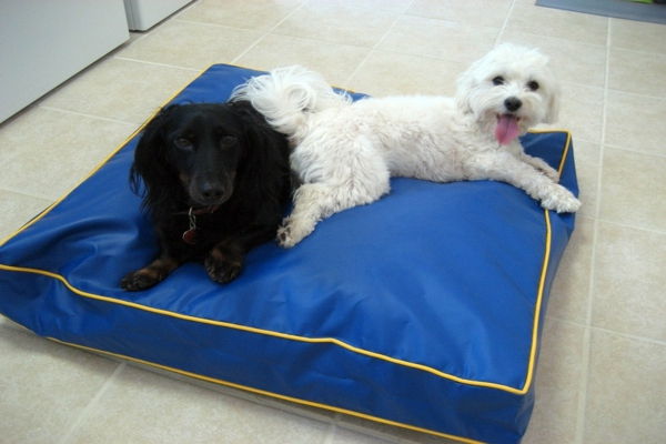 Hundematte ortopedisk blå farge - svart hund og hvit hund