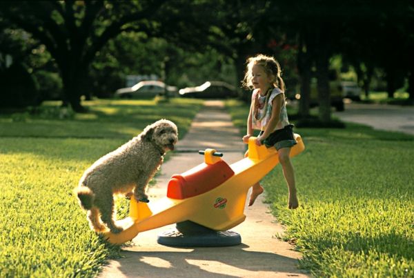 ideias-para-um-parque-o-jardim-bob-de-madeira-garden-design parque infantil equipamentos de jardim