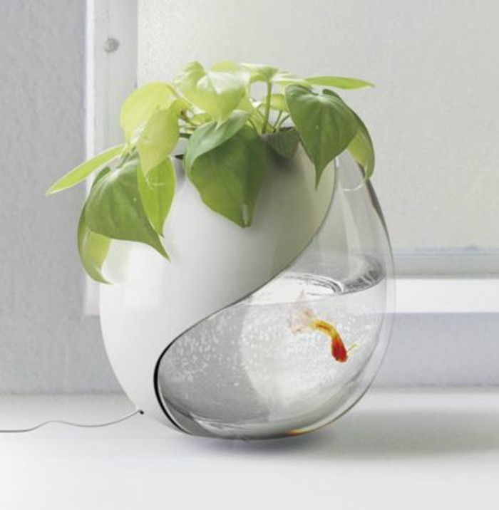 Idee per acquario-design-piccola pianta acquario Goldfish Aquarium deco