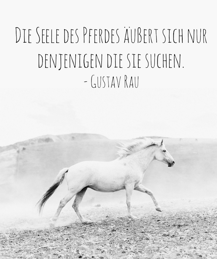 un cavallo bianco con una coda bianca, una lunga criniera bianca e occhi neri e zoccoli grigi, pietre e una citazione da gustav rau