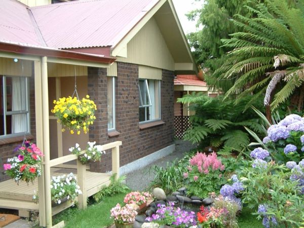 kolorowe kwiaty na przytulny dom z nowoczesnym ogrodem