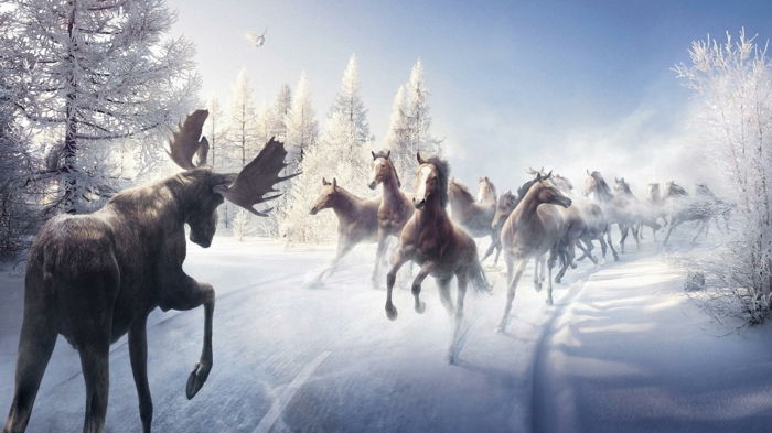 interessante ilustração-horse-in-neve