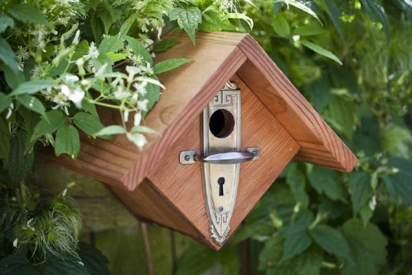 Zanimivo podloga Hiša za ptice iz lesa