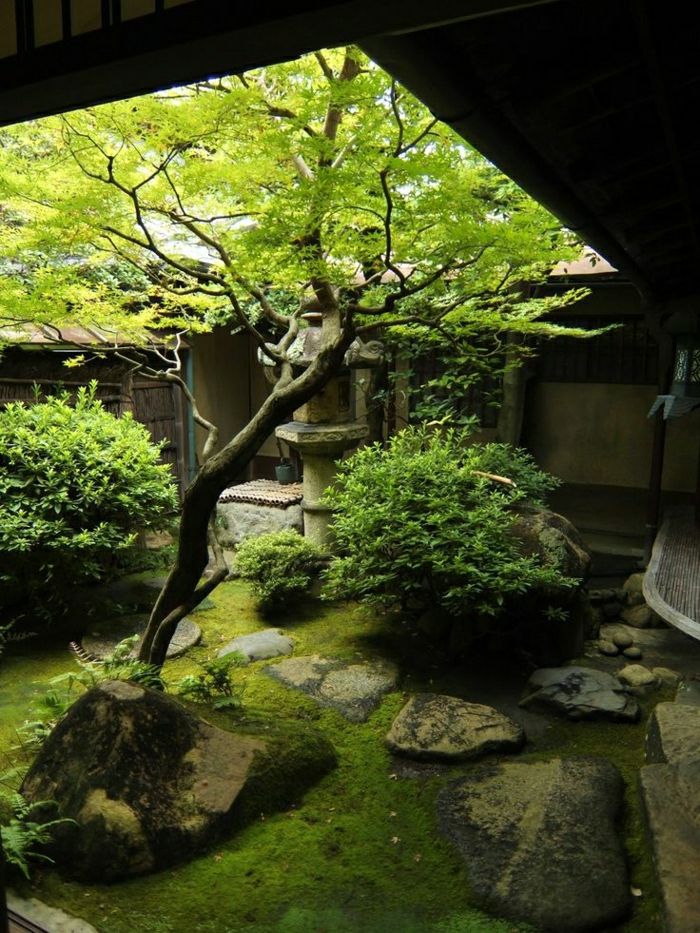 Japonski vrt Kyoto drevesa Zen
