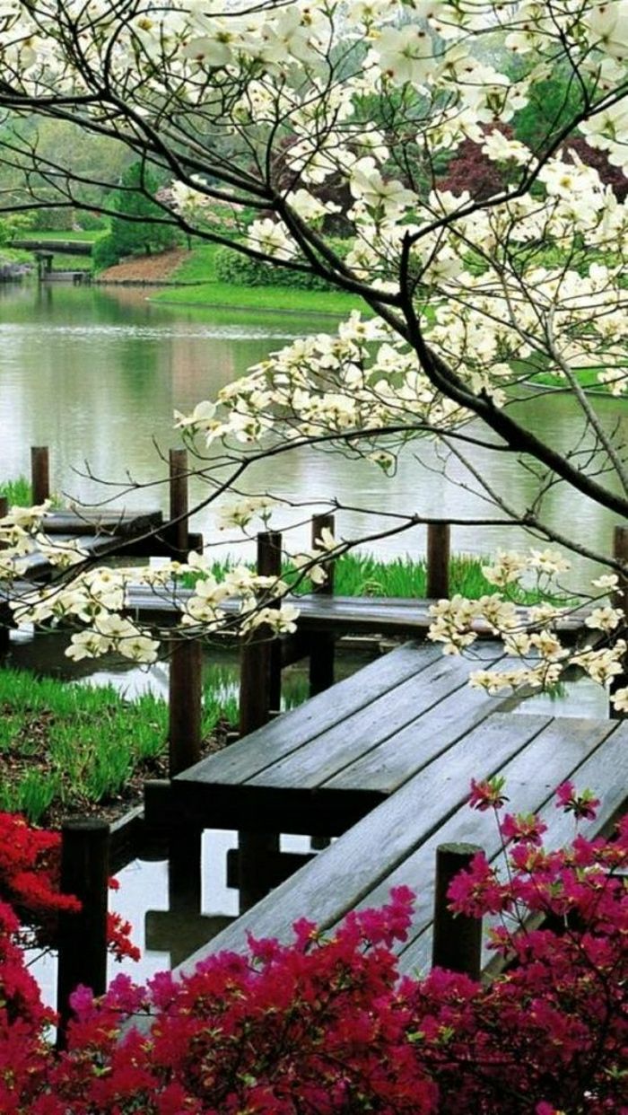 Japonski vrt Lake Baumbüten tiho vzdušje