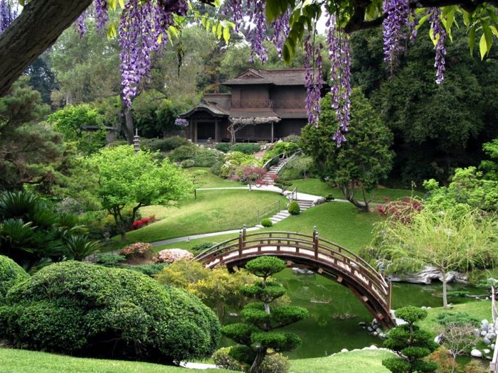 Japonski vrt naturale kozmetični most puše Drevesa Lake-eksotičnih azijskih
