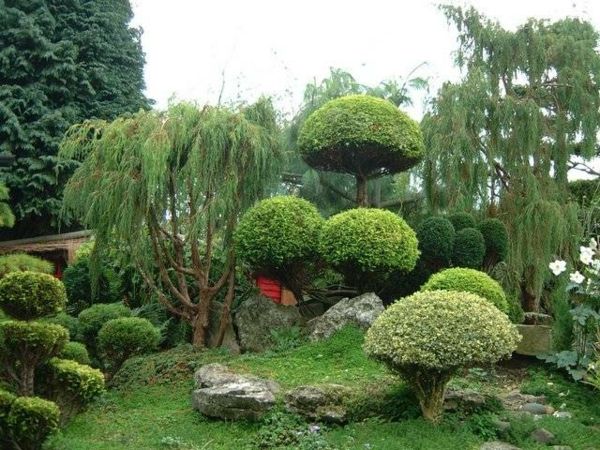 Japonski vrt oblikovanje, lepo oblikovani drevje sodobna vrt