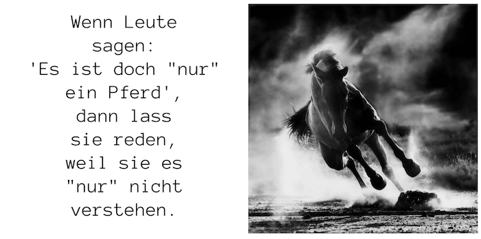 un cavallo selvaggio, nero, con gli occhi neri, una criniera lunga, nera e densa - foto con un breve detto sul tema dei cavalli e della cavalcata