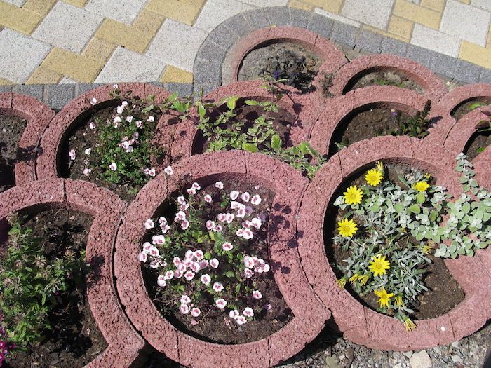 Čia rasite vieną iš mūsų idėjų apie gražių augalinių akmenų pirkimą - augalų žiedus su mažomis gėlėmis