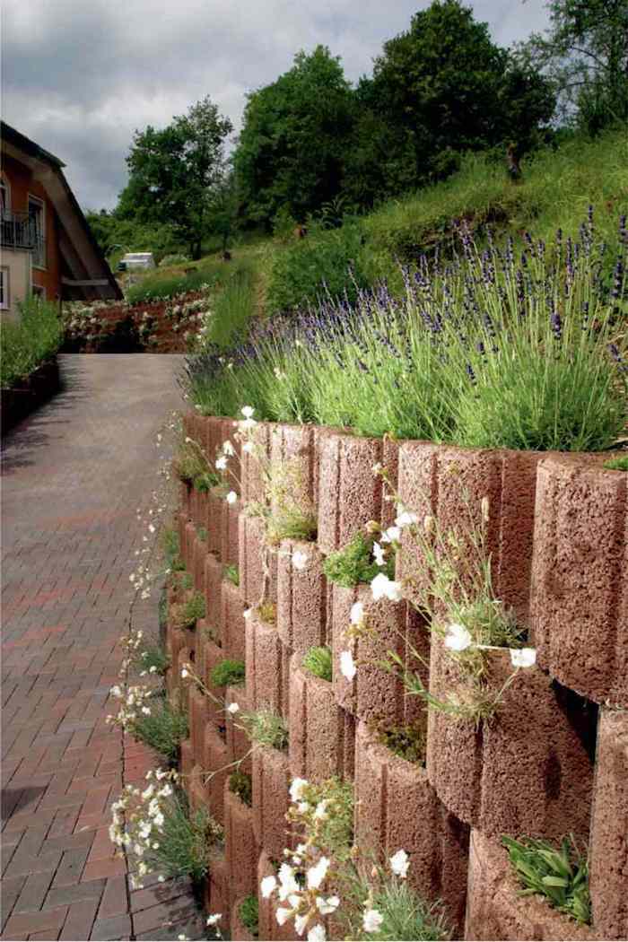 Pažiūrėkite į šią idėją apie didžiulius augalinius akmenis su mažomis baltų ir violetinių žaliukų gėlėmis