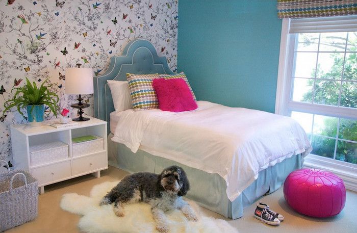 ungdomsrumsidé för flicka blå väggblå säng och cyklamen dekorationer vit ren väggmålningar med fjärilar hund hemma