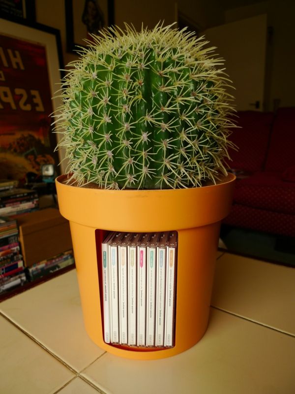 cactus-in-een-multifunctioneel-pot-oranje kleur