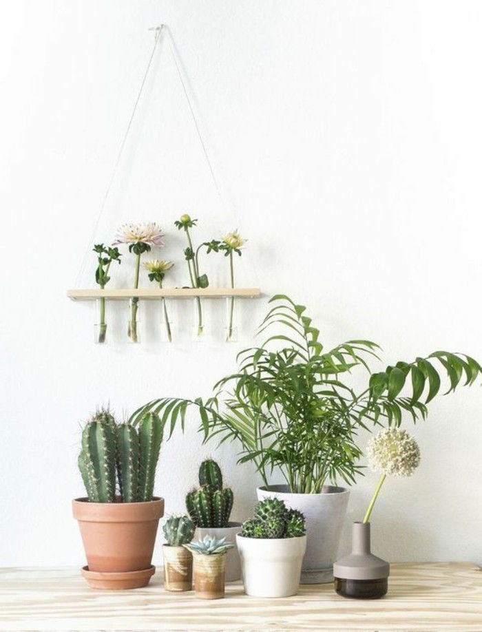 kaktus hjørne Decor-ideer-dekorasjon tips, stue-potteplanter