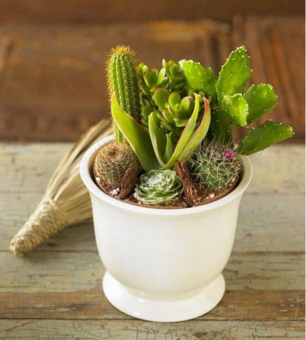 cactus-achtige-witte-pot-look erg lief