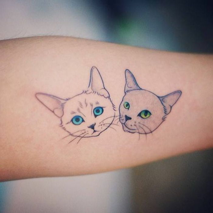 ați putea dori această idee pentru două tatuaje mici pisici - aici sunt două pisici mici - o pisică cu ochi albaștri și o pisică cu ochi verzi
