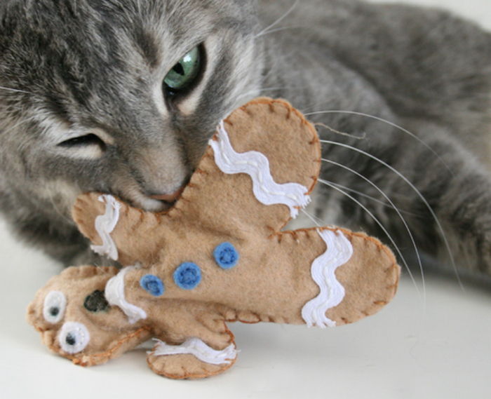 Katės žaislai atrodo kaip pilka kačiuko saldainiai
