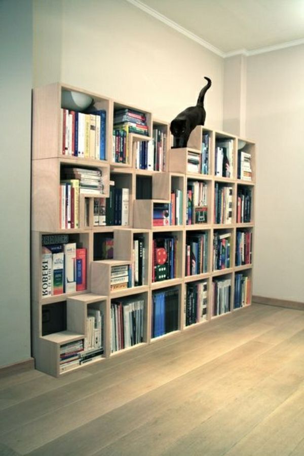 pisica-alpinism perete-bibliotecă