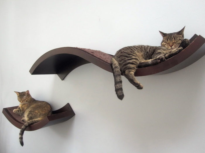 Katter Intelligence Toy - två hyllor där söta katter kan vila