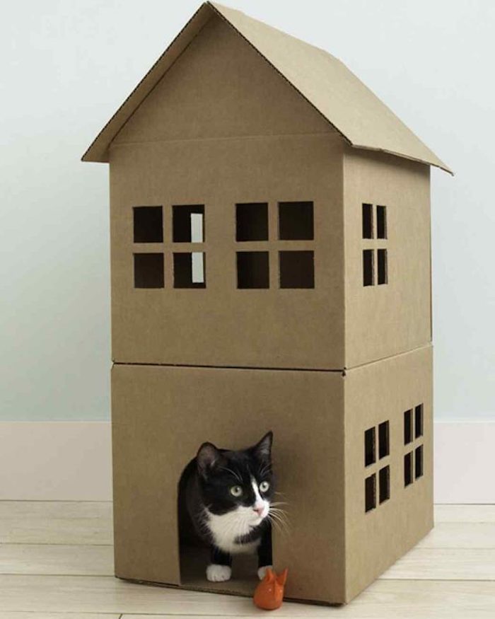 Žvalgybos žaislas katėms - kartoninė dėžutė su langu ir durelėmis
