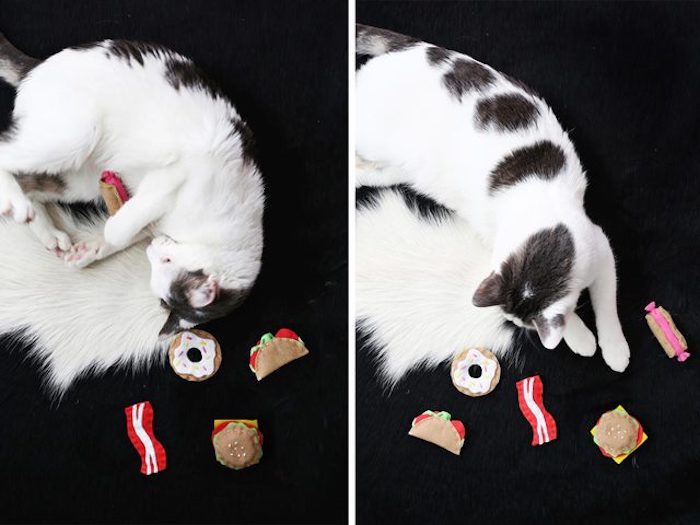 Make mačka igrače - bela mačka s črnimi pikami, igra s hrano iz blaga