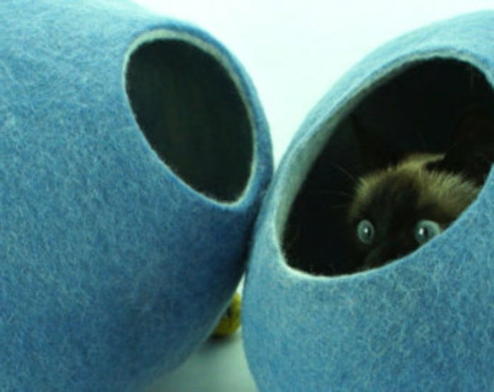kediler aksesuarları - siyam-mavi-yataklar