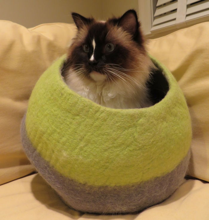 Katter tilbehør-seng-kokong-grått og grønt