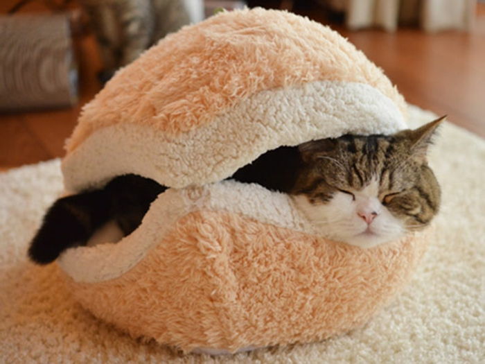 Kediler aksesuarları-için-rahat-yumuşak-yatak-kaze