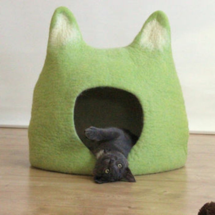 kediler aksesuarları-yeşil-yatak-küçük-kedi
