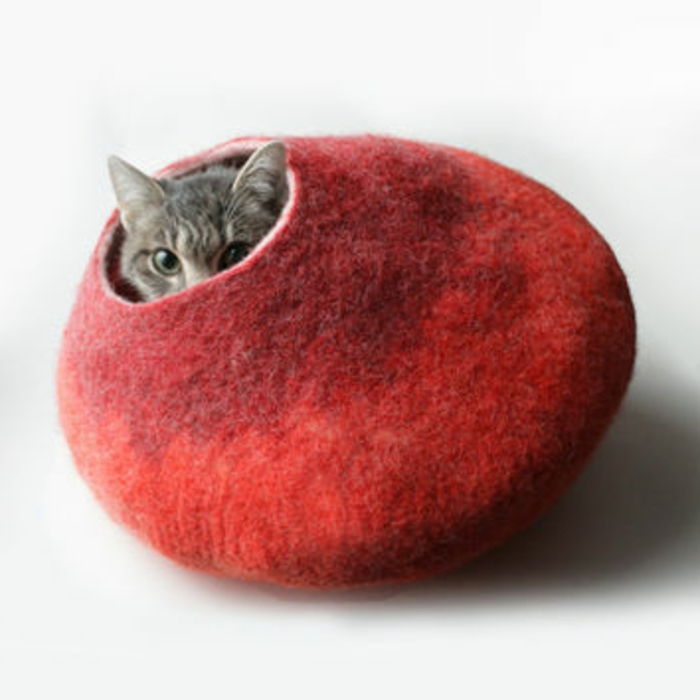 kediler için aksesuarlar-in-red-for-your-kedi