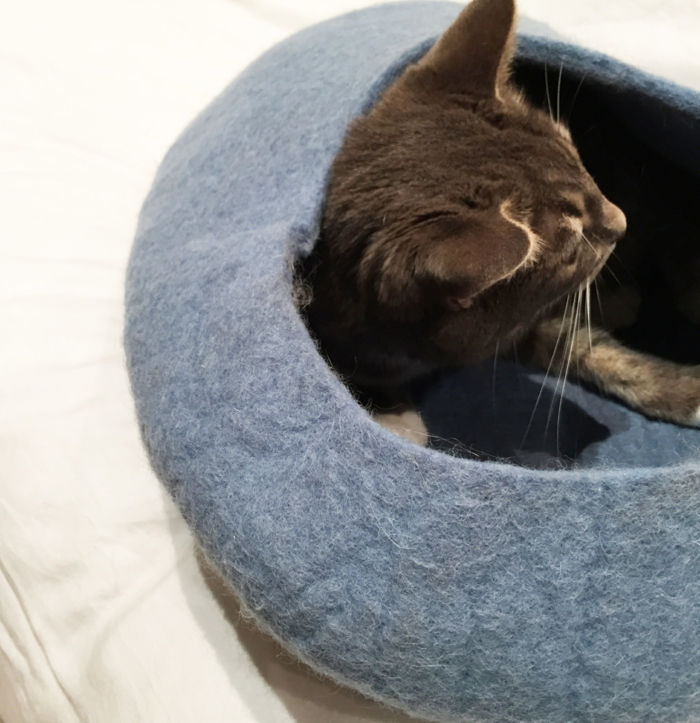 katt tilbehør -cat-in-blue-cocoon-seng