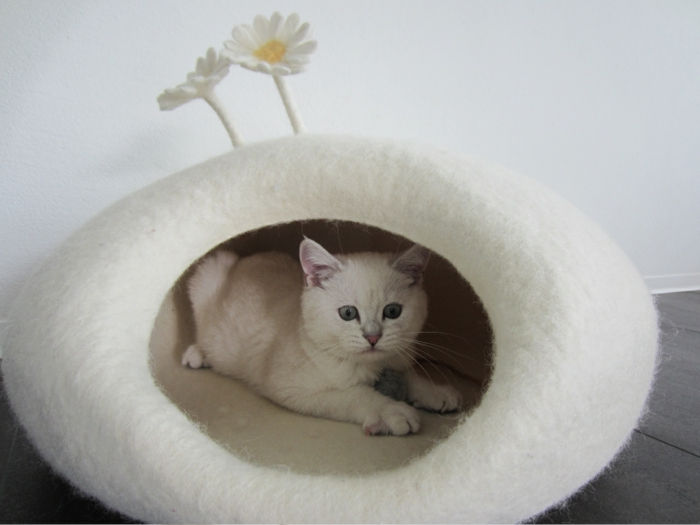 kattens tilbehør-katt-hvitt-hvitt-kokong-seng