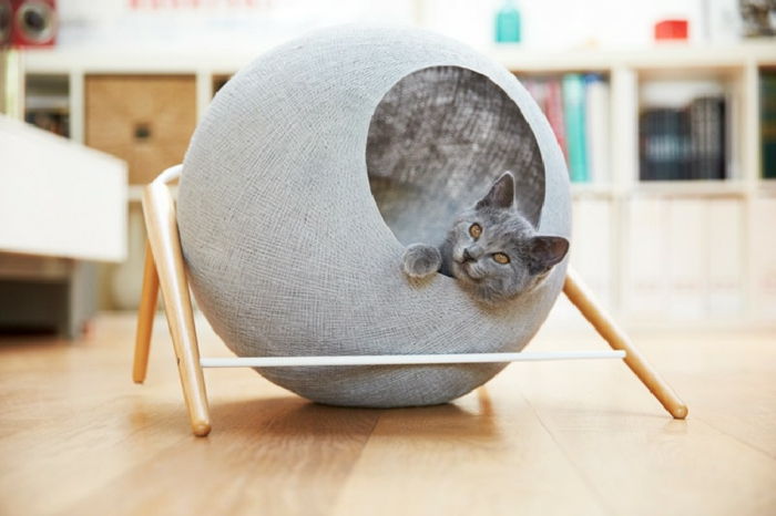 kedi aksesuarları-modern-ve-yaratıcı-fikirler