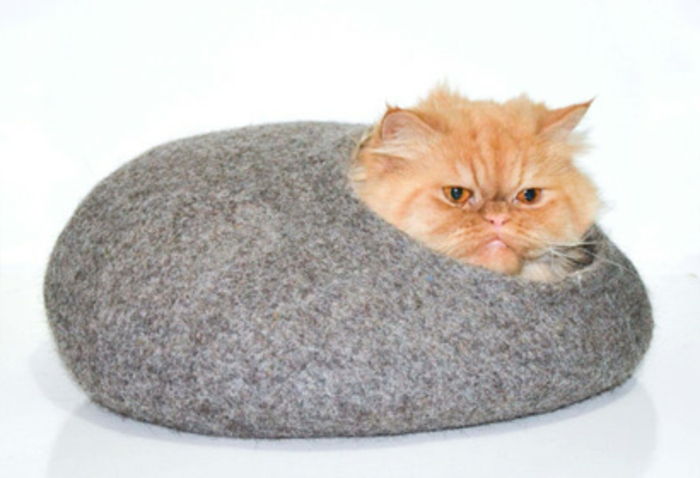 katttilbehør -orange-katt-i-seng