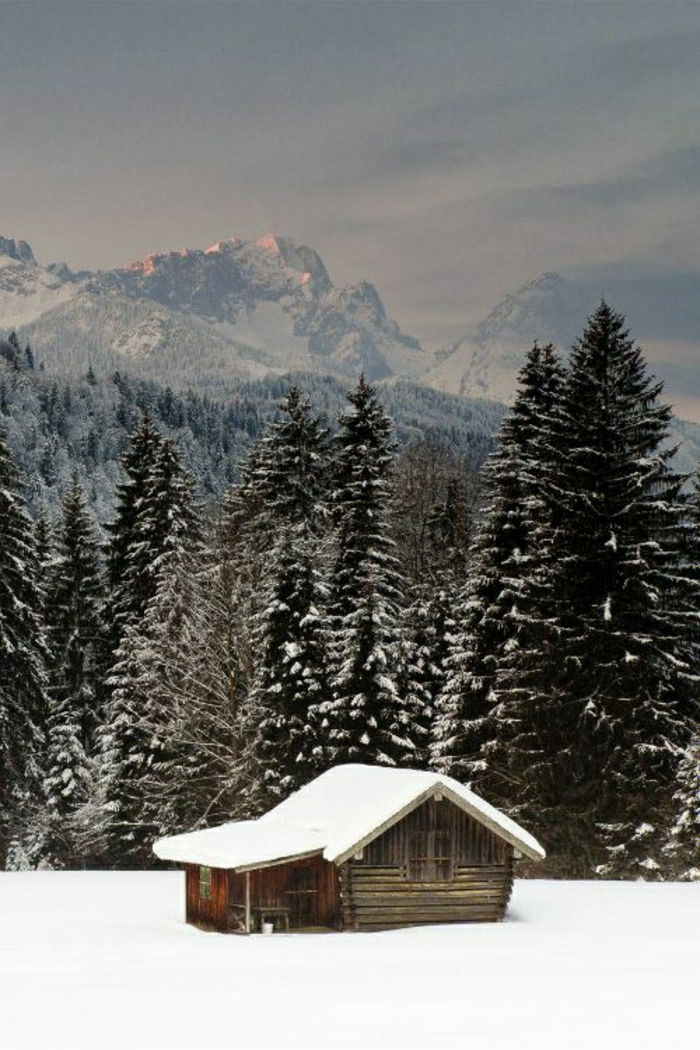 kleine hut berg-coniferen Winter Snow