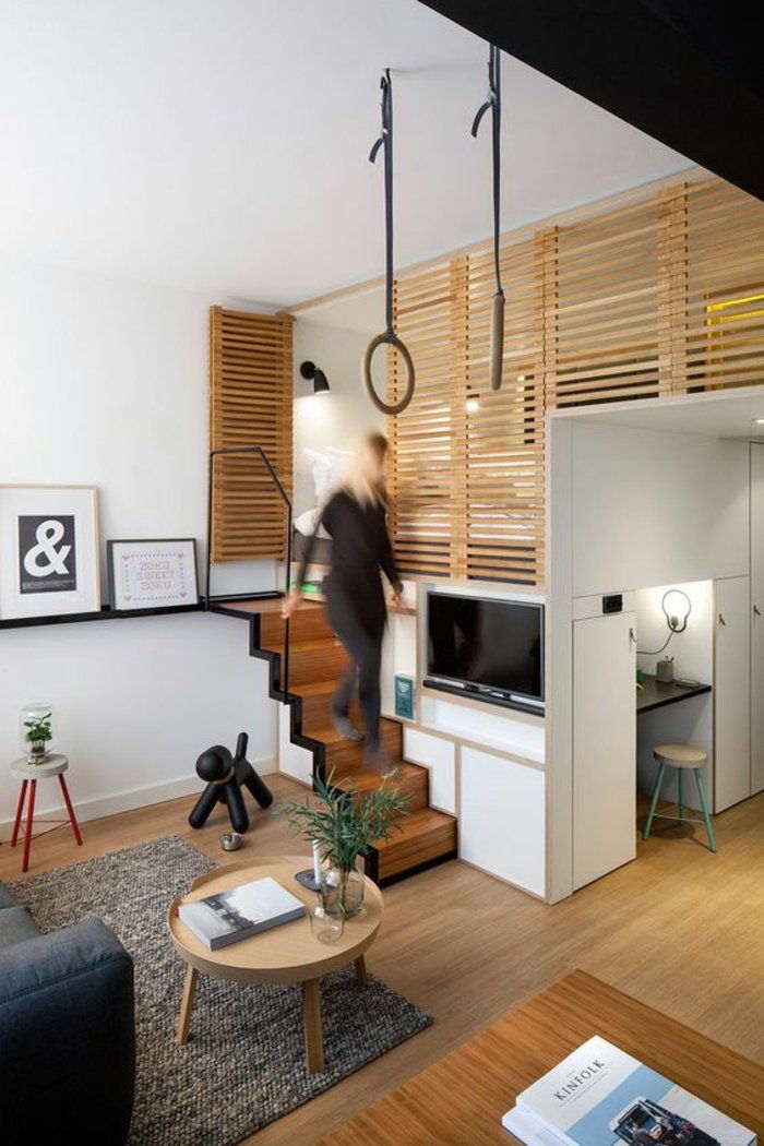 nedidelio daugiafunkciniai Apartment-naudinga-baldai idėjos
