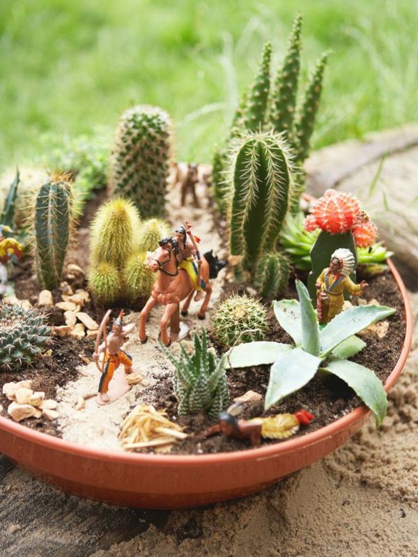 klein-mooi-cactus-mooi ontwerp