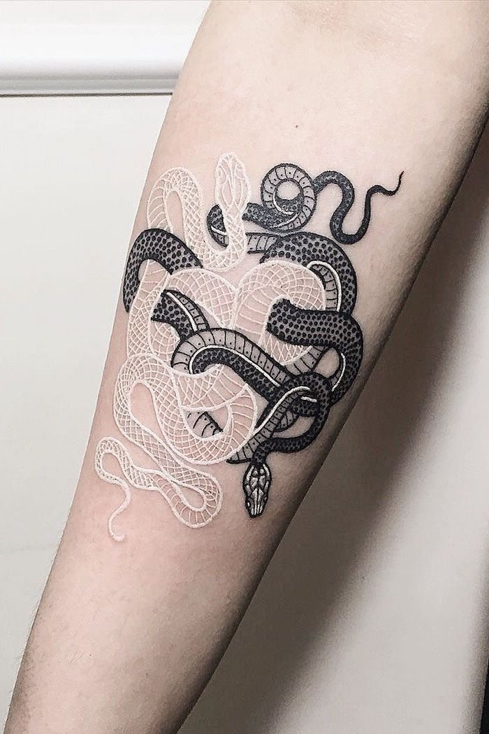 najobľúbenejšie tetovanie, dva hady v bielej a čiernej farbe