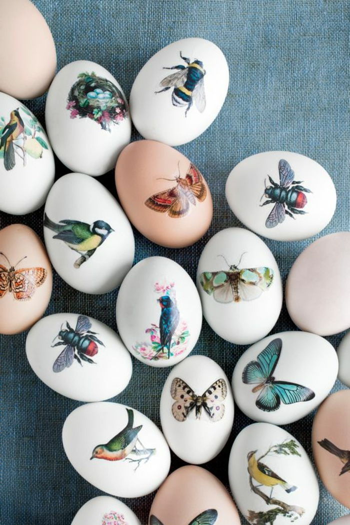 tatoveringsmaler lite fargerike tatoveringer på eggene gjør sommerfuglfugl fargerike bilder på hvitt