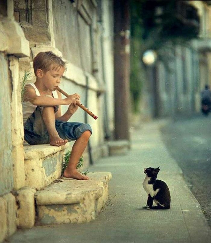 Kedi Sokak küçük oğlan flüt çalan