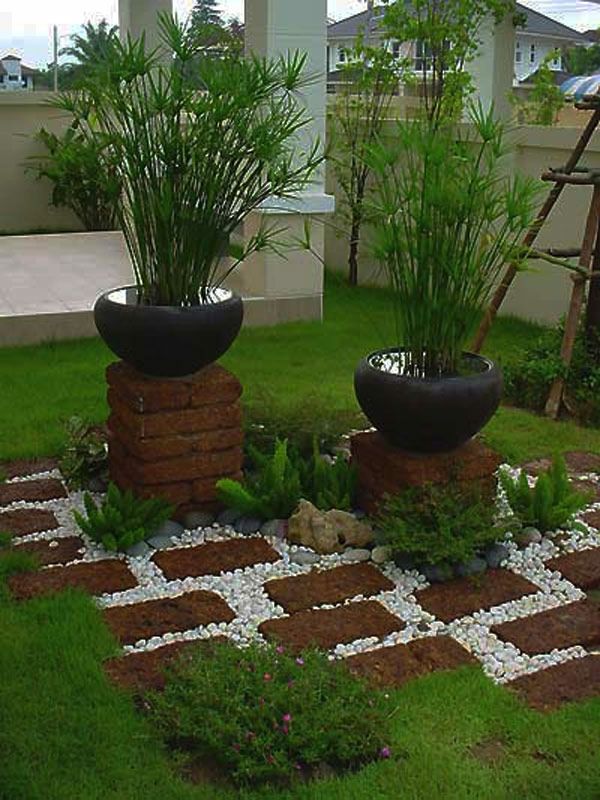 dekoracyjne zielone rośliny doniczkowe do ogrodu