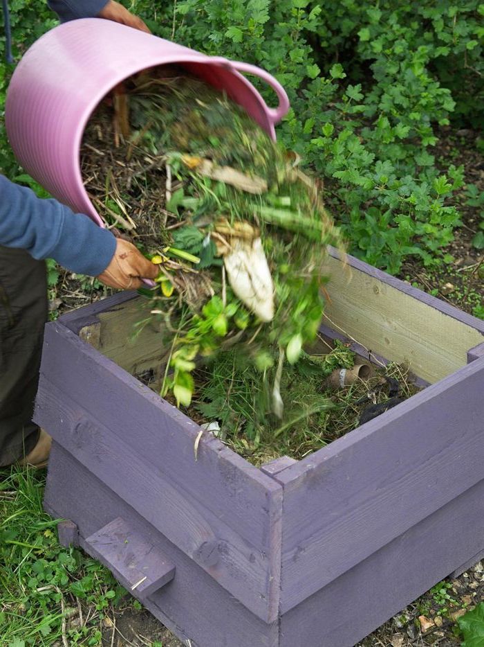 Vi anbefaler deg å ta en titt på denne lille, vakre, lilla komposten - god ide for hagedesign - kompost og bøtte