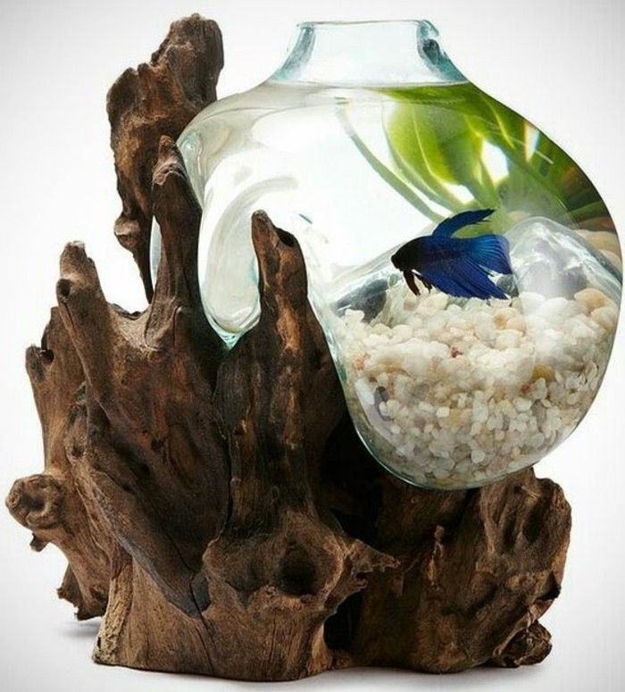 small-bublina akváriových-as-stones-blue-fish-rastlina-dry-Aste-akvárium-deco