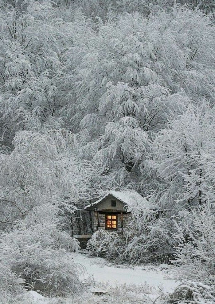 Liten och mysig stuga-under-the-träd täckt-med-snow-romantiska vinterbild