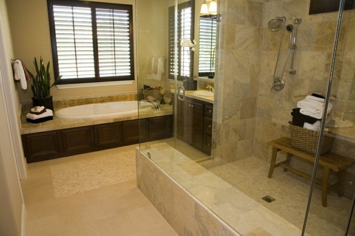 nedidelio puikus-vonios-su-gražus-dušo kabina su-stiklo sienos