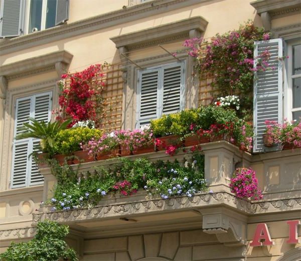 liana-for-balkón útulnú-look