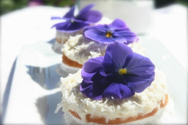 kokus-bolinhos-com-roxo-violeta