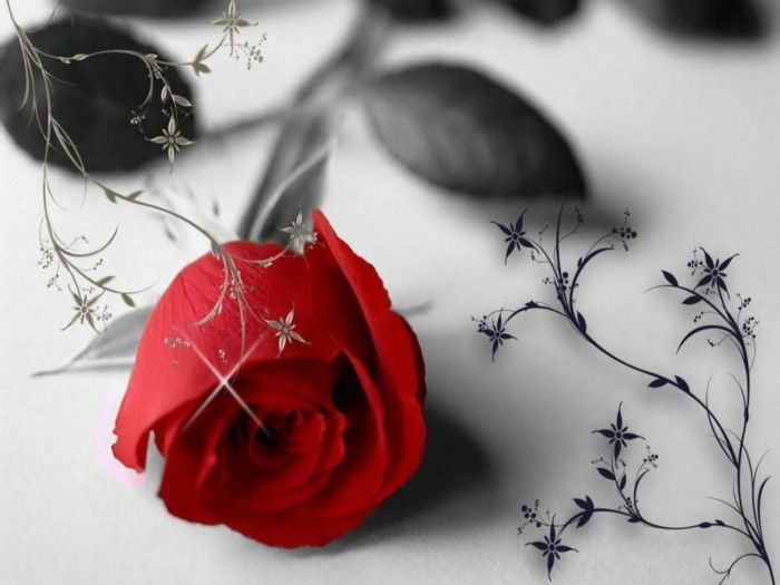 free wallpaper-Valentine romantic-rosu-trandafiri